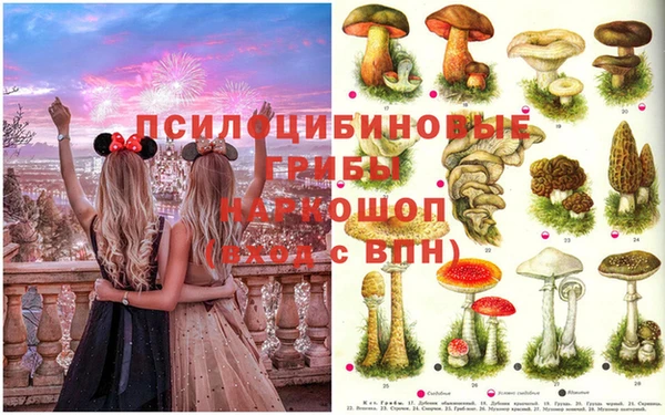 каннабис Абинск