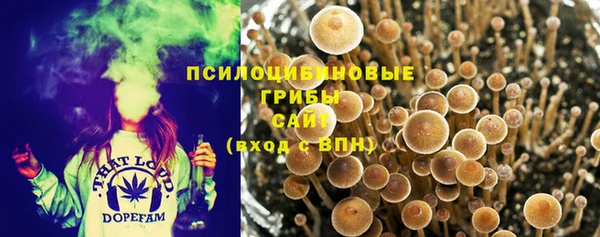 соль курить ск Алзамай