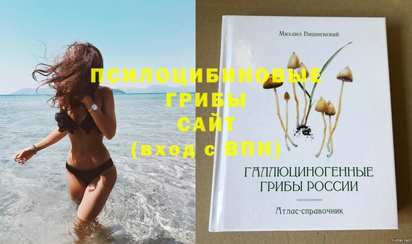 ешки Абдулино