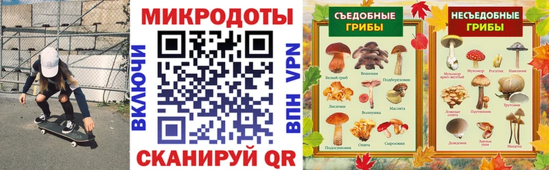 что такое наркотик МЕГА маркетплейс Псилоцибиновые грибы мицелий Астрахань