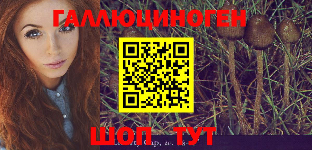 Астрахань  Галлюциногенные грибы GOLDEN TEACHER  Вход с VPN 