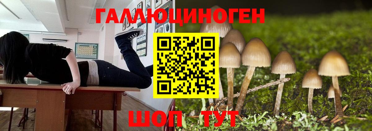 Галлюциногенные грибы прущие грибы Астрахань