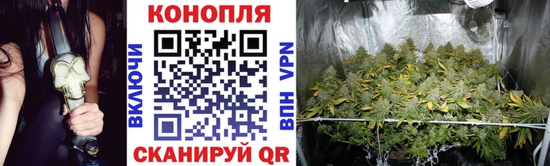 Каннабис тримм Астрахань