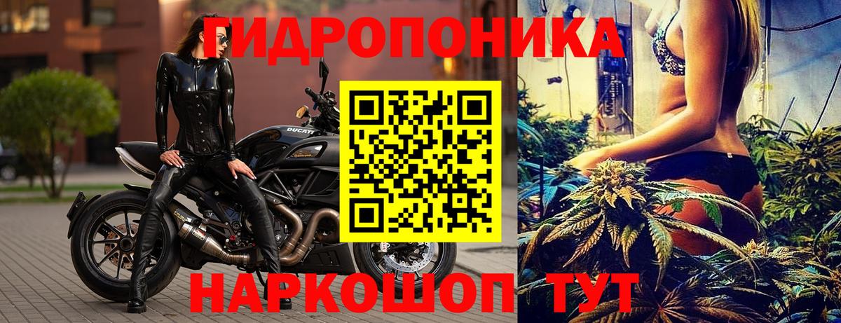 Бошки марихуана конопля Астрахань